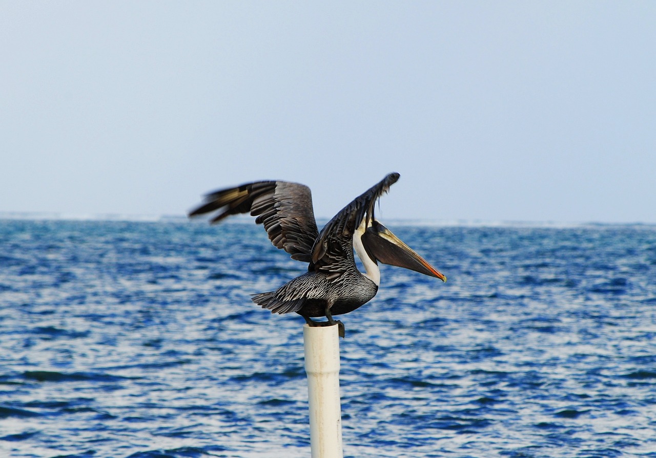 Ultimate 8-day Adventure in Belize